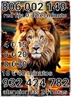 Con mi tarot Quiero que a través de mi sepas la verdad